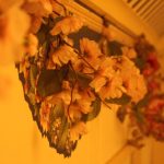 FloralWall